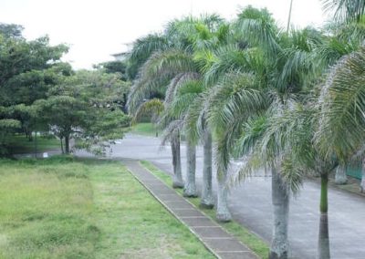Palermo Village Heredia 12